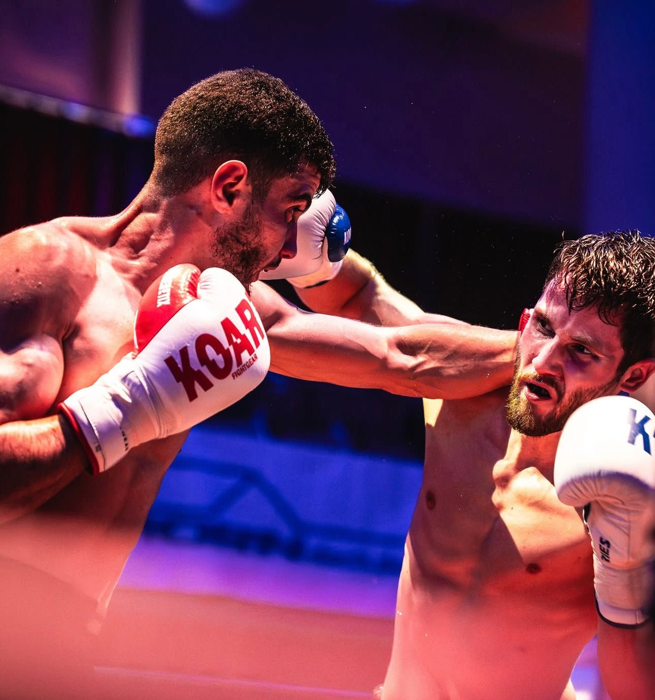 Flasher Pro Series - Ko Art Fightgear