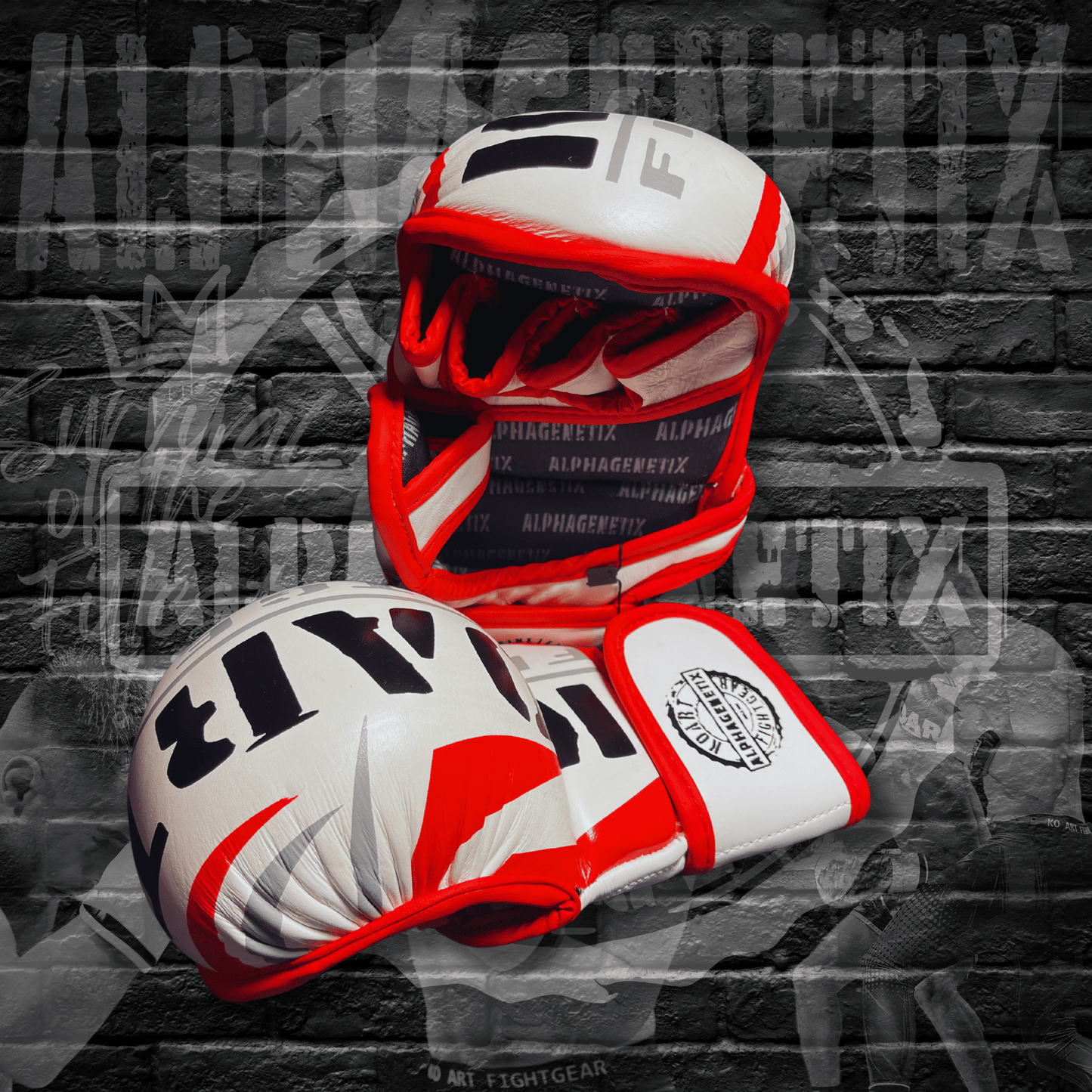MATRIX MMA Gloves - Ko Art Fightgear