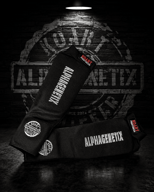 ALPHAGENETIX Shinguards - Ko Art Fightgear