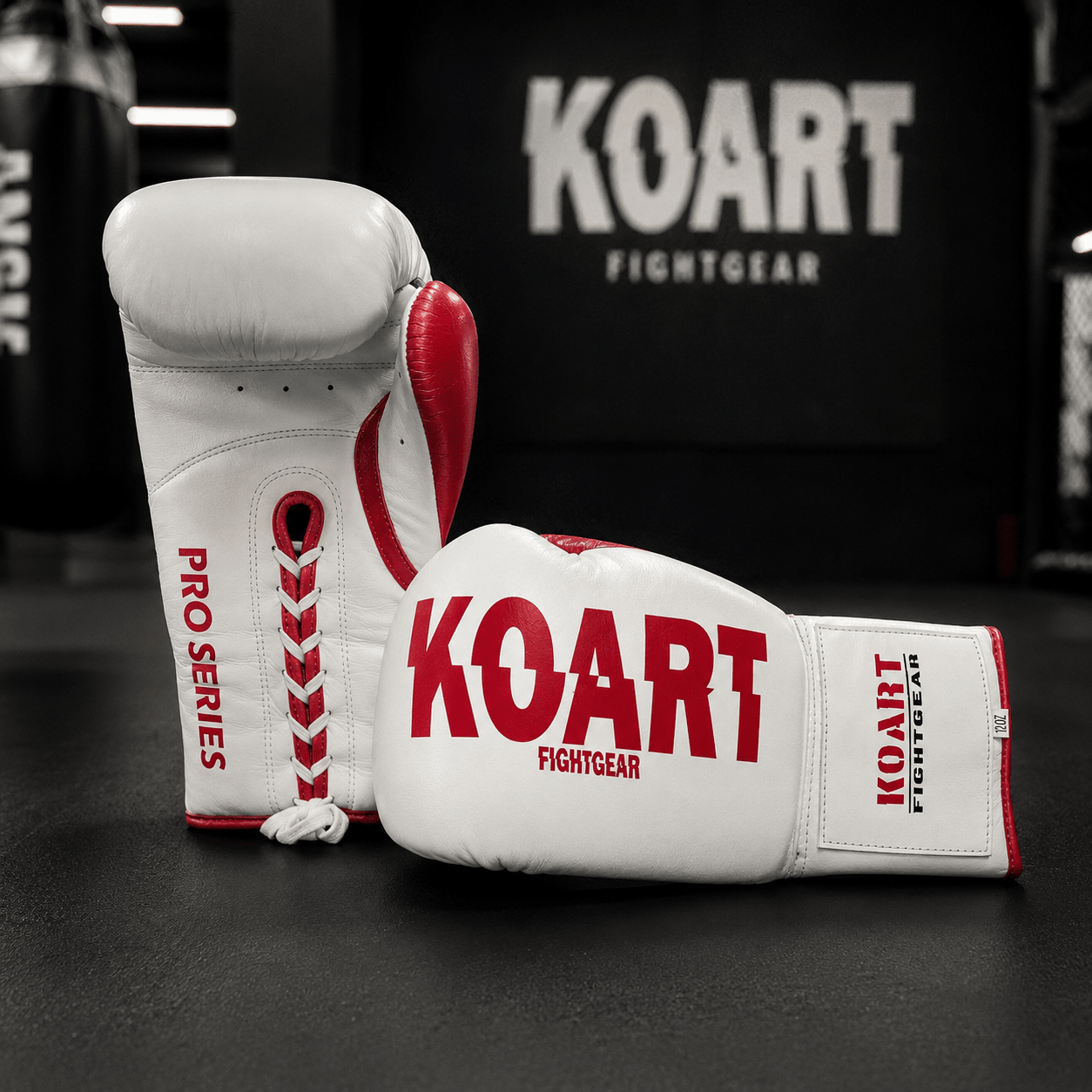 Flasher Pro Series - Ko Art Fightgear