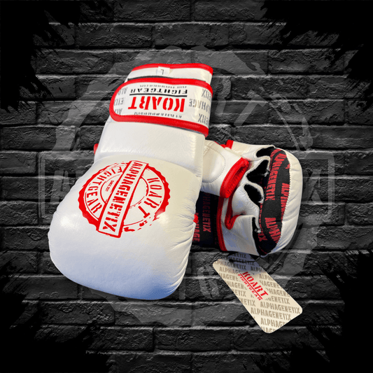 SNIPER MMA GLOVES - Ko Art Fightgear