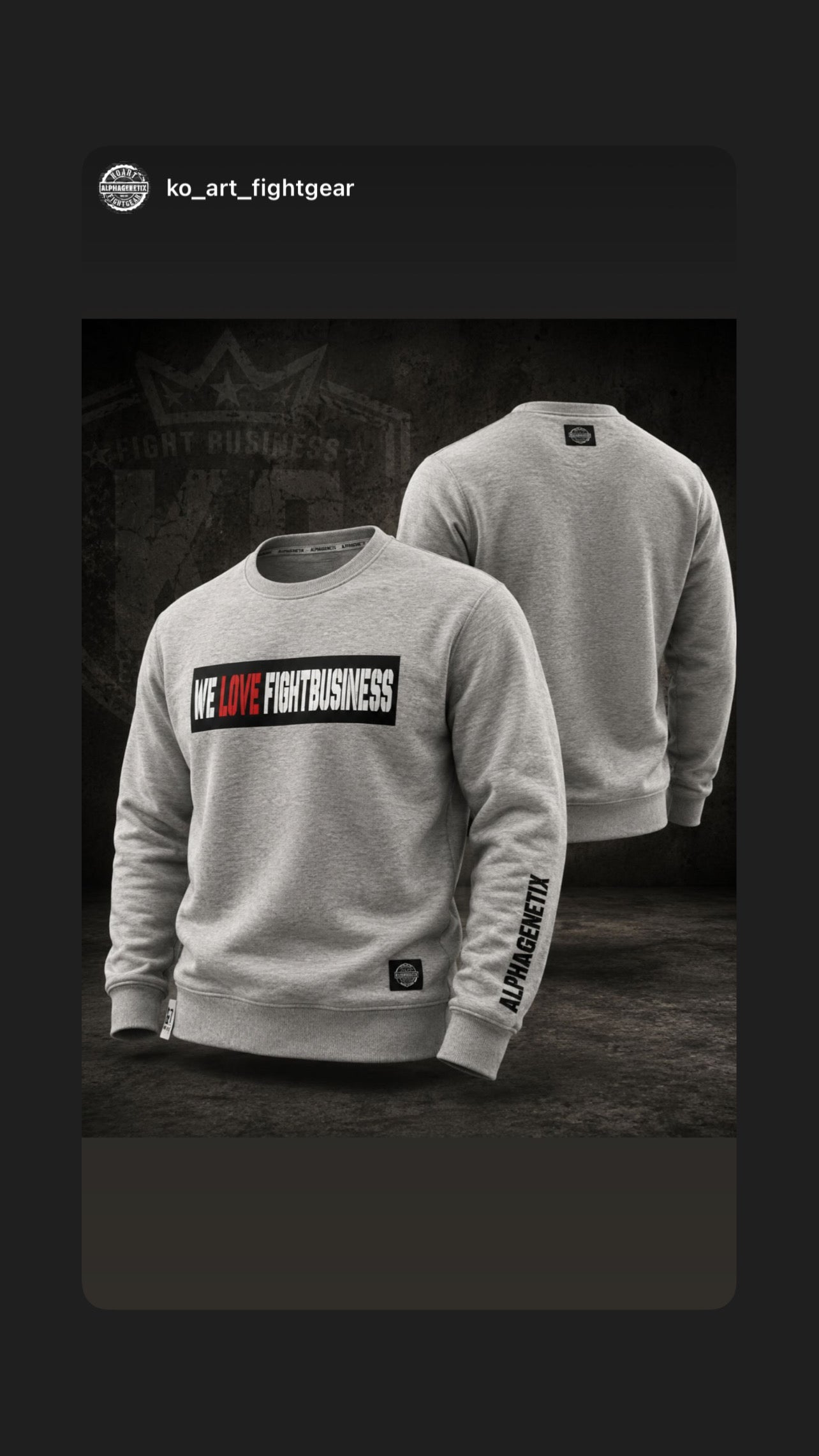 WLF Sweater - Ko Art Fightgear